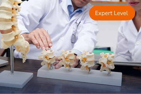 Spinal Fusion